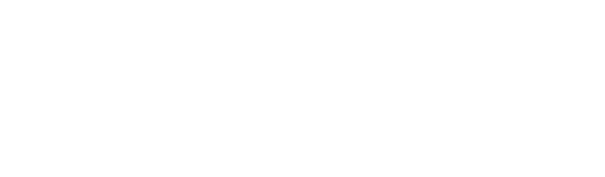 Model-Platform-Logo-White